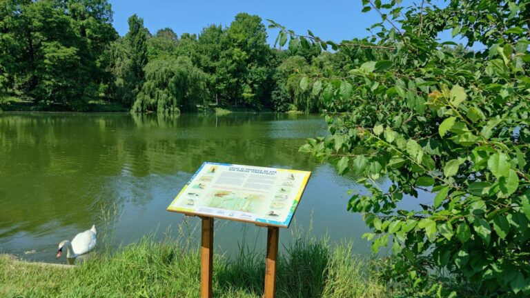 Tur ornitologic în Parcul Tineretului, în weekend. Bucureștenii pot admira peste 200 de specii de păsări chiar în inima Capitalei