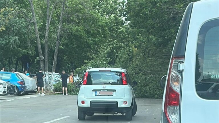 Un copac de mari dimensiuni s-a prăbușit pe Strada Huedin din cartierul Berceni. Traficul, afectat în zonă