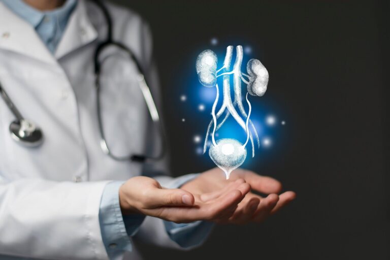 Uretra: Funcții, Anatomie și Afecțiuni Asociate