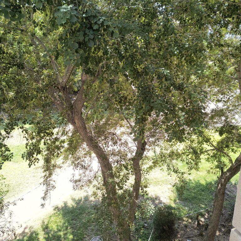 Vremea se încălzește în weekend: Duminică, temperaturile ating 34 de grade