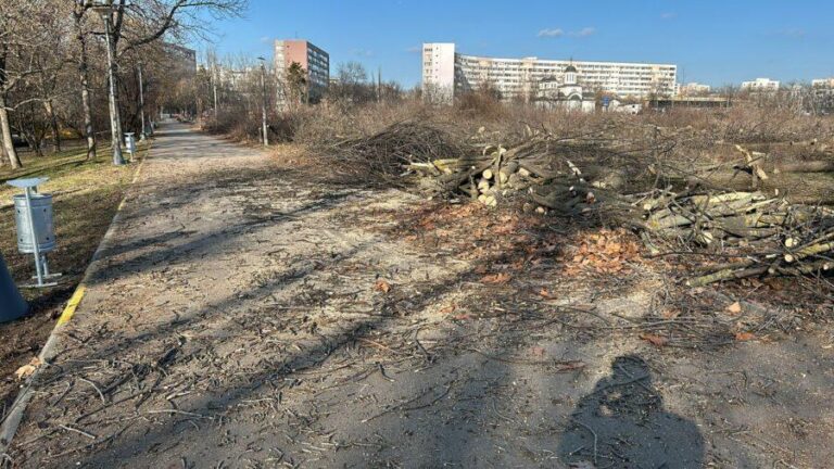 Administratorul public al Capitalei acuză greșeli în gestionarea Parcului IOR