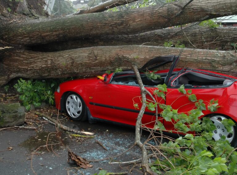 Copac prăbușit peste o mașină pe strada Maria Rosetti din București, cu două persoane rănite