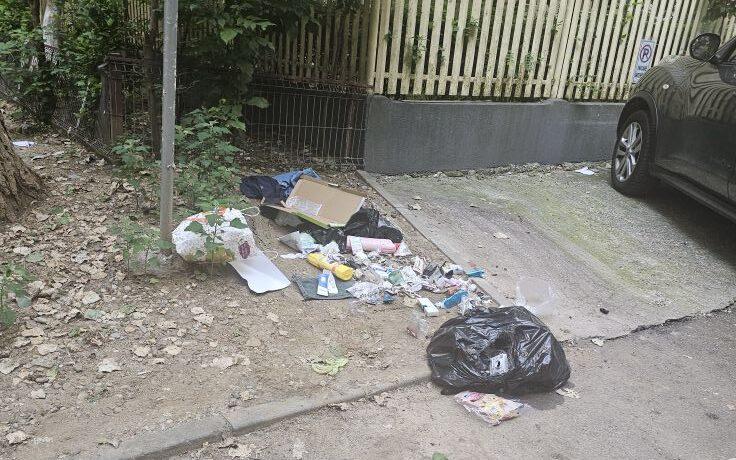 Costurile ridicării deșeurilor abandonate în Sectorul 2: 432 de tone de apă utilizate zilnic pentru curățenie