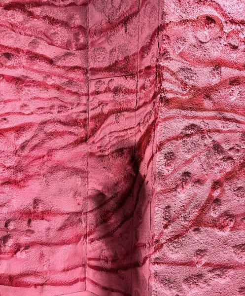 Descoperă tainele corpului uman și ale Egiptului Antic la Muzeul Copiilor!