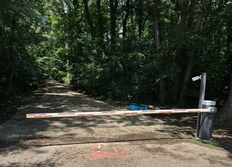 Federația Greenfield obține accesul la drumul forestier din Pădurea Băneasa