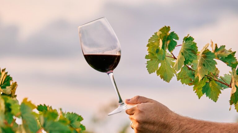 Festivalul Vinului Moldovenesc aduce la București zeci de vinuri din Republica Moldova