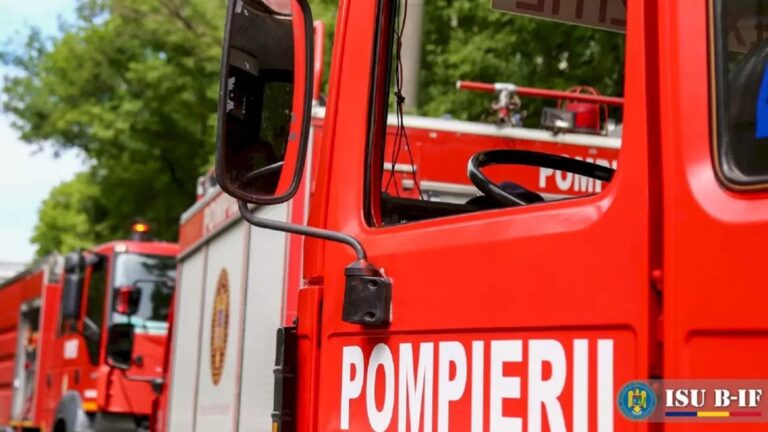 Incendiu de vegetație în Berceni, Ilfov: 17 autospeciale ISU intervin pentru stingerea flăcărilor