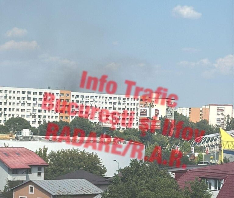 Incendiu în zona Deltei Văcărești: Pompierii intervin pentru stingerea flăcărilor