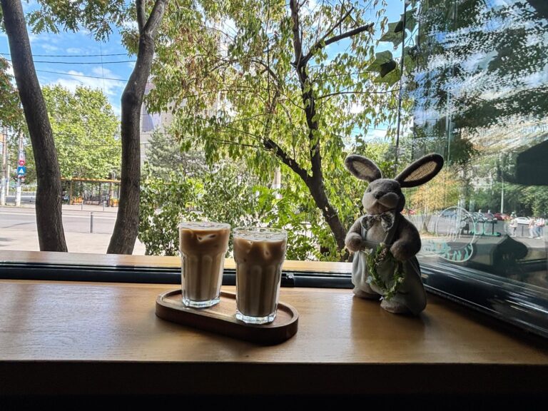 O junglă verde de relaxare în Drumul Taberei: Amazoniq Coffee Shop