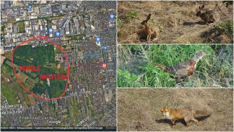 Parcul Serelor din Militari, un vis al bucureștenilor din zonă, mai aproape de realizare