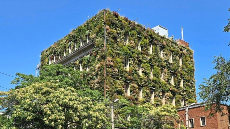 Primul mall de plante din București, o oază verde pe Calea Dudești