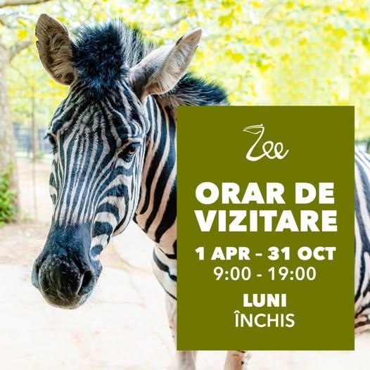 Programul de vizitare al grădinii zoologice