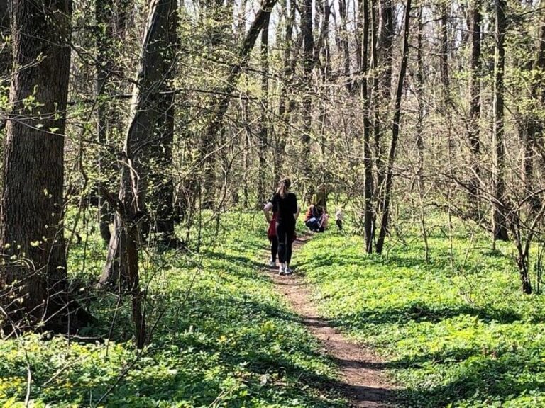 Proiectul pentru transferul Pădurii Băneasa în administrarea Primăriei București, în așteptarea votului Consiliului General