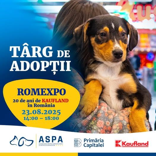 Târg de adopții canine la Romexpo
