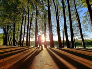 Temperaturi mai ridicate, pentru ziua de miercuri