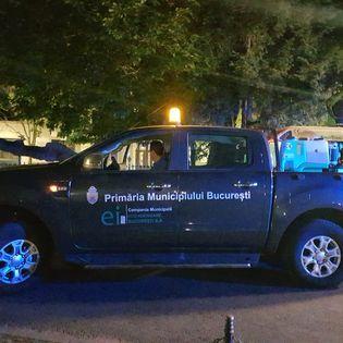 Tratament de dezinsecție împotriva țânțarilor în București