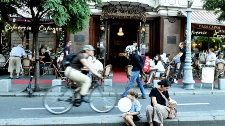 Ultimul weekend de vară în Capitală vine cu evenimente numeroase. Avem BIAS 2025, Marea Pisiceală, târguri de adopții, proiecții de filme în aer liber și multe altele