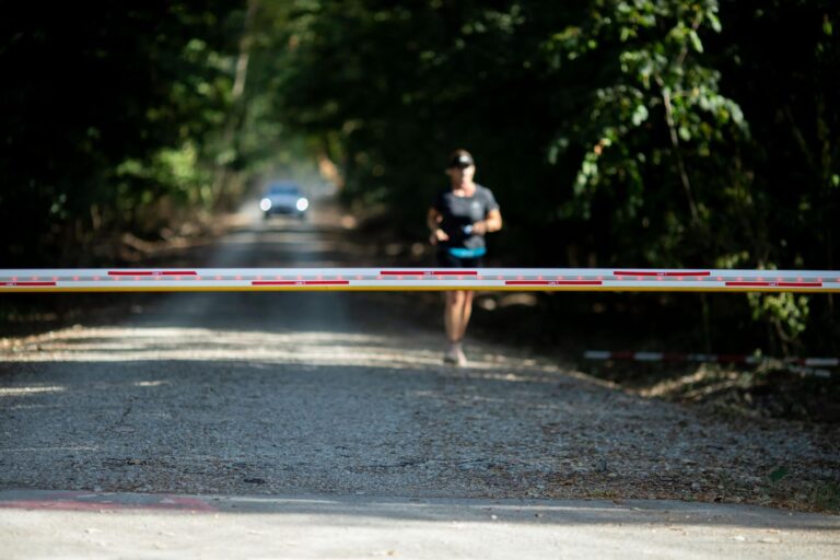 Apelul a 45 de ONG-uri pentru protejarea Pădurii Băneasa