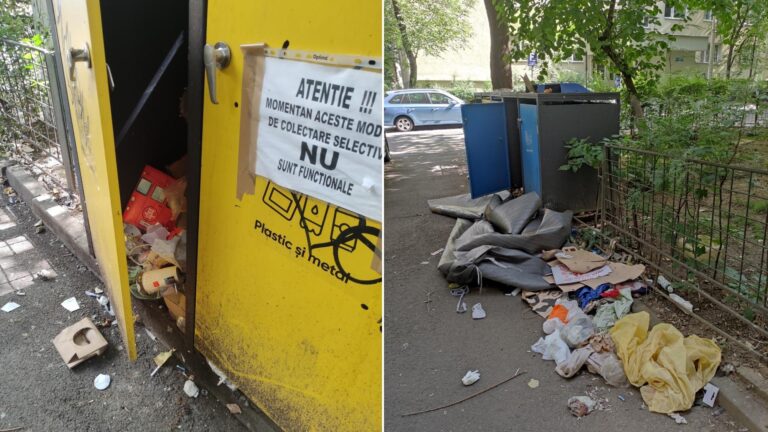 Bucureștenii din Sectorul 2 se confruntă cu o problemă de salubritate