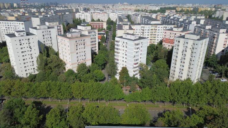 Întreținerea spațiilor verzi din București – diferențe vizibile între sectoare