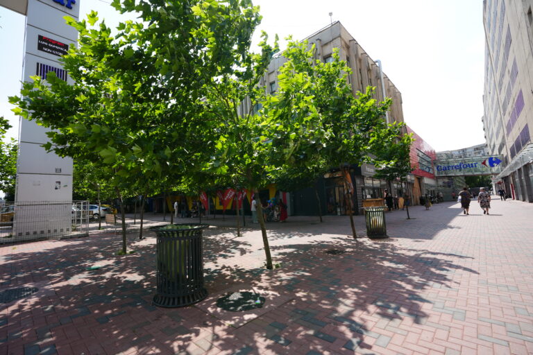 Bucureștiul și provocarea apei: de ce trebuie să lăsăm orașul să absoarbă apa