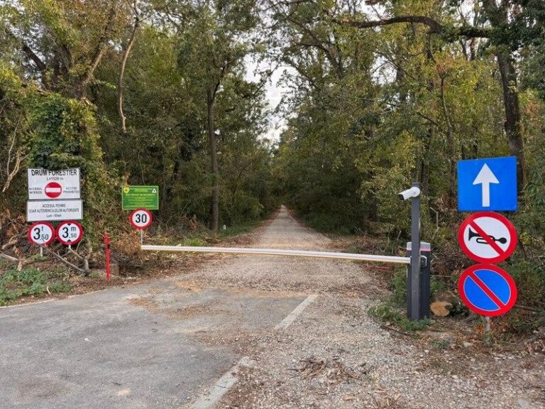 Dezbatere importantă la Ministerul Mediului: viitorul Pădurii Băneasa și implicațiile pentru locuitorii din Greenfield