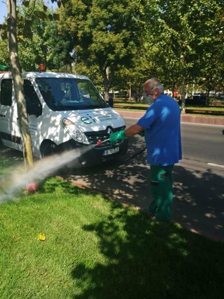 Dezinsecție împotriva căpușelor în București începând cu 8 septembrie 2025