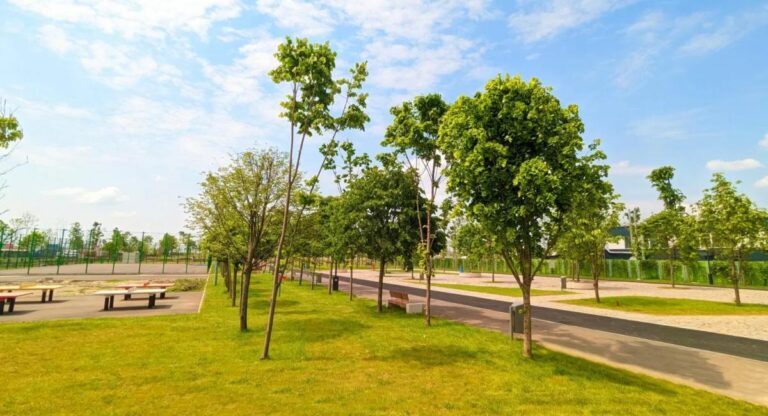 Extinderea parcului Tudor Arghezi din Sectorul 4: Noi spații verzi în București