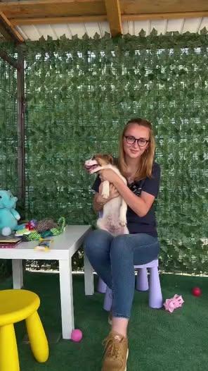 Fiecare oră de voluntariat aduce bucurie și speranță pentru câini