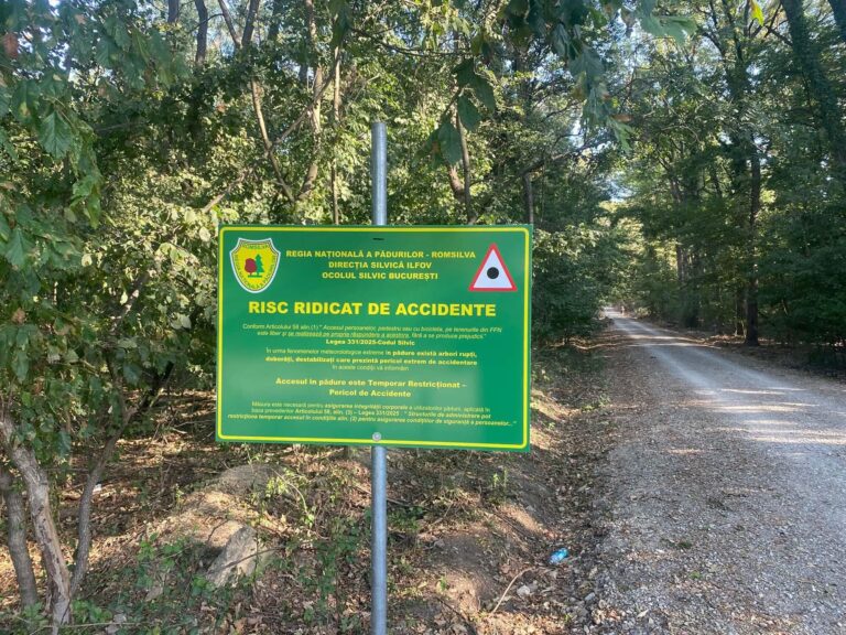 Imagini surprinzătoare: Locuitorii din Greenfield folosesc ilegal drumul forestier din Pădurea Băneasa