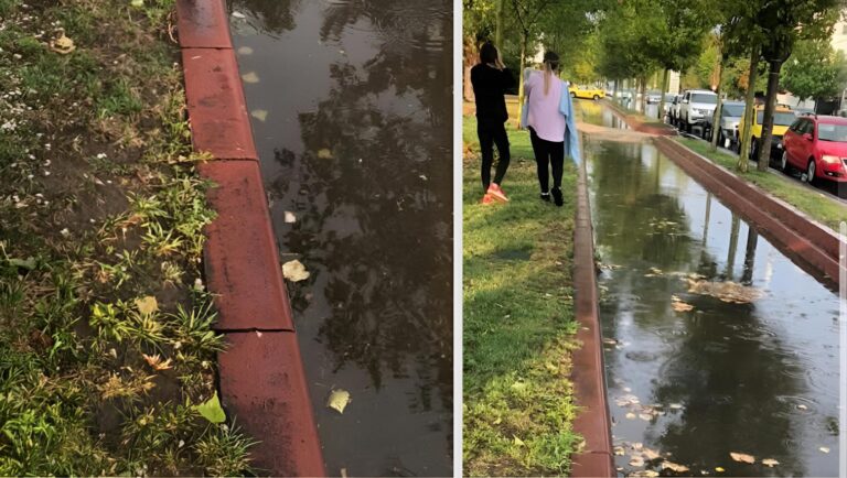 În Rahova, canale asemănătoare celor din Veneția, stârnesc amuzamentul bucureștenilor