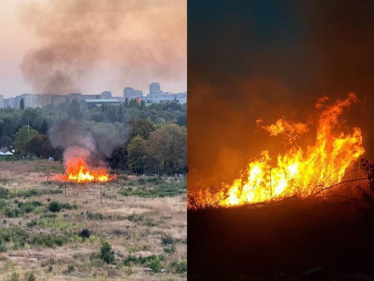 Incendiu în Parcul IOR: Martorii povestesc despre un individ suspect