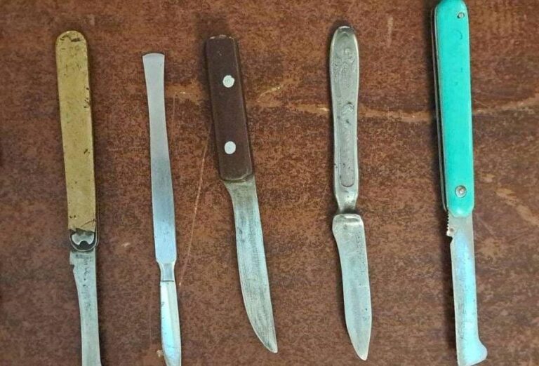 O femeie din Republica Moldova, prinsă cu arme la intrarea în Parlament