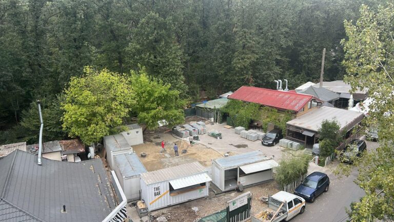 Pădurea Băneasa, amenințată de construcții ilegale și extinderea teraselor