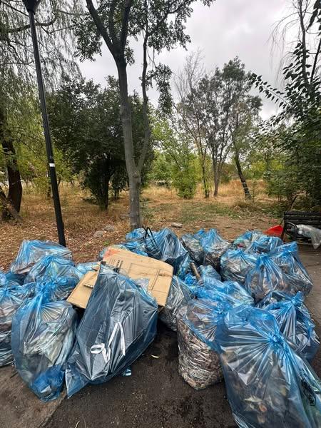 Parcul Grozăvești: O tonă de gunoi strânsă în doar 3 ore