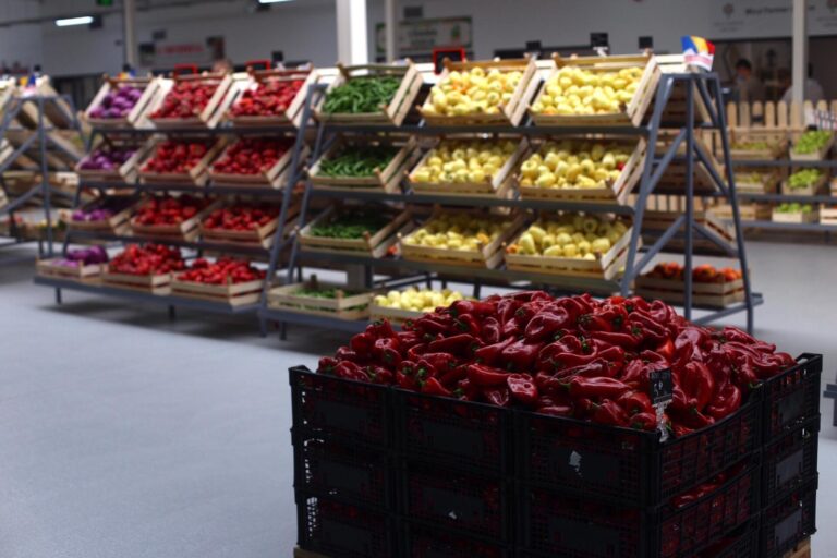 Piața Volantă revine în Cartierul Dorobanți în acest weekend