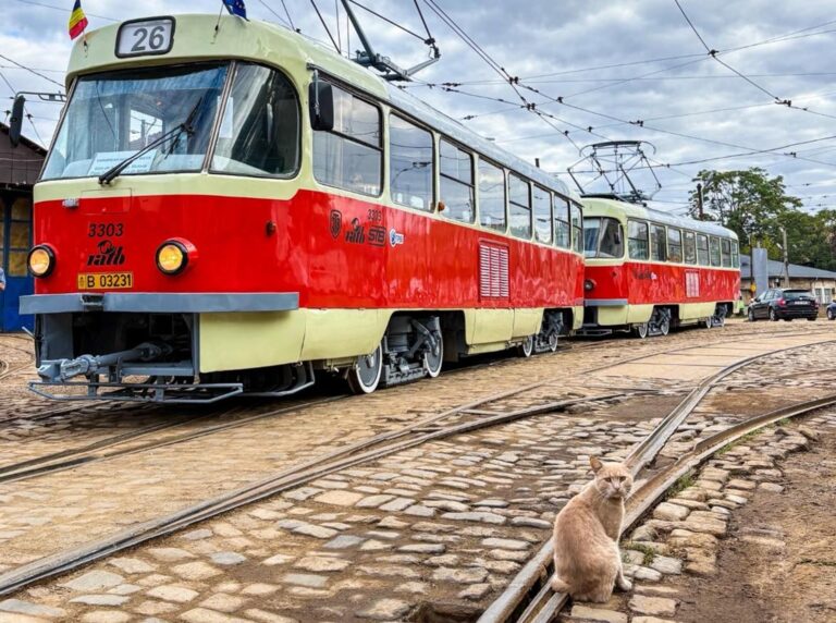 Pisicile se bucură de o plimbare cu Bătrânul Tatra 🐈🚋