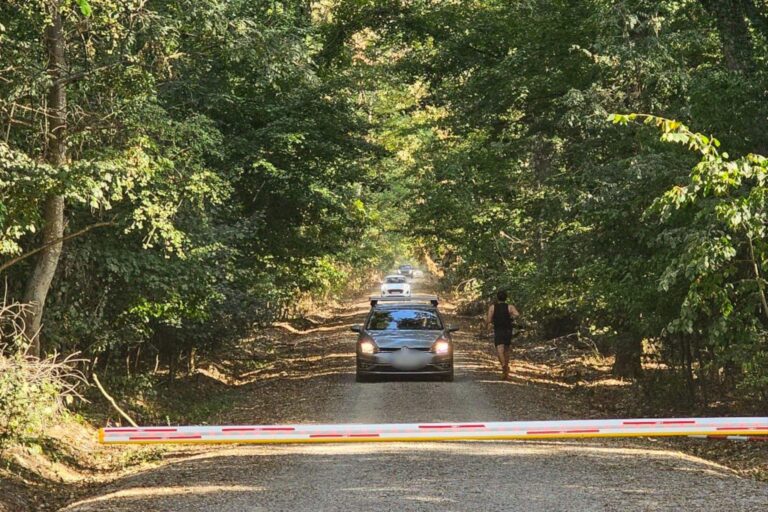 Platforma Civică Împreună pentru Centura Verde cere ministrului Mediului respectarea legii și interzicerea traficului auto în Pădurea Băneasa