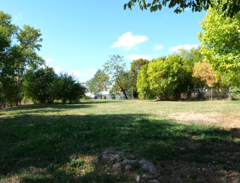 Primăria Sectorului 1 intenționează să creeze un parc pe Bulevardul Laminorului