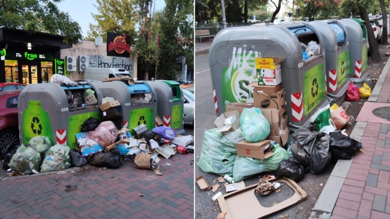 Probleme cu ridicarea gunoiului în Sectorul 3: Pubele pline și gândaci pe străzile din Baba Novac
