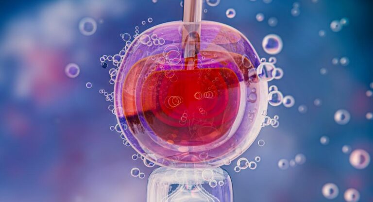 Programul de sprijin pentru FIV în Sectorul 2: Detalii despre înscriere și documentele necesare