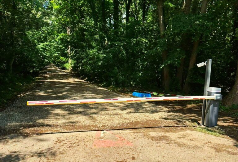 Romsilva a renunțat la dreptul de a rezilia contractul care permite accesul auto în Pădurea Băneasa