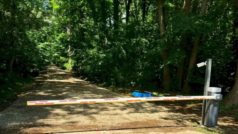 Scandal în Pădurea Băneasa cu o mamă cu doi copii