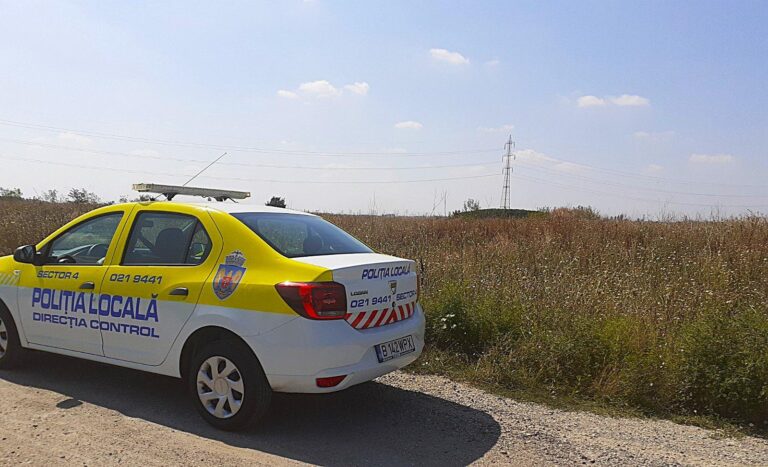 Sector 4 | Poliția Locală a identificat 500 de terenuri invadate de ambrozie
