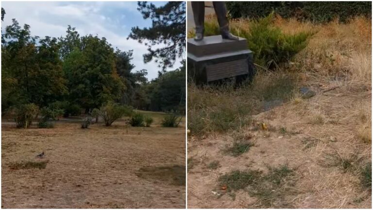 Strigăt de ajutor pentru Parcul Circului, distrus și abandonat