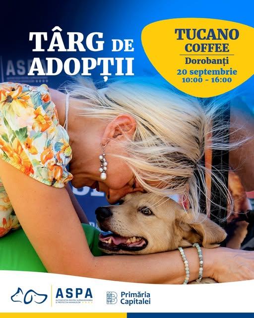 Târg de adopții canine în București