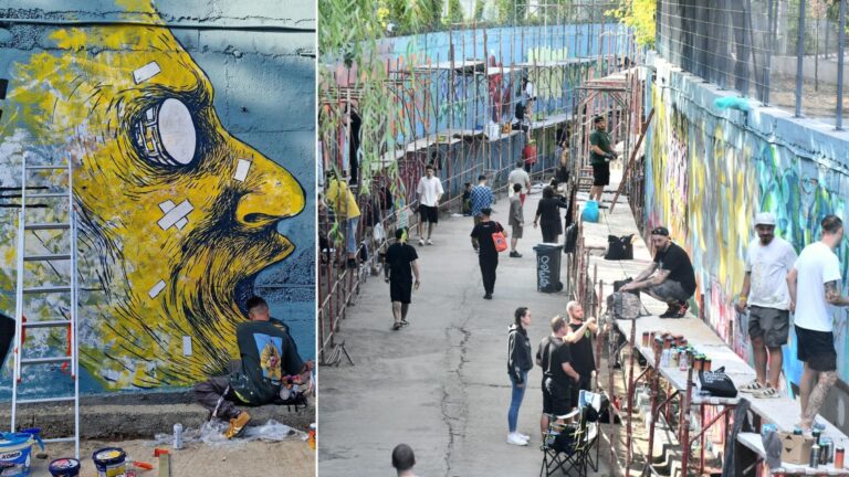 Ultima zi de Streetwise Festival, evenimentul care transformă pasajul feroviar de la Parcul Liniei într-o imensă pictură murală