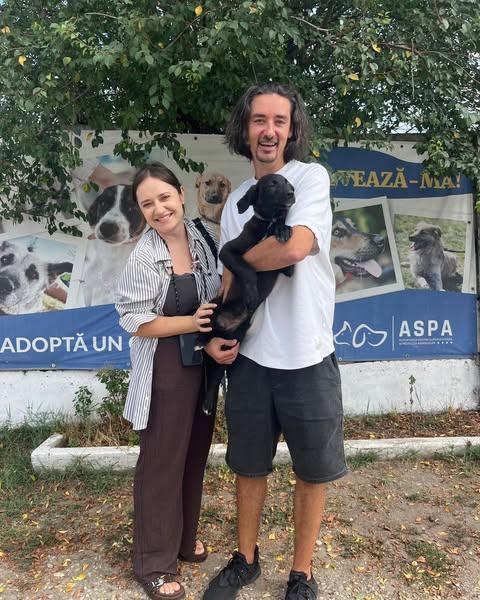 Ziua cățeilor negri: Adopții fericite în București