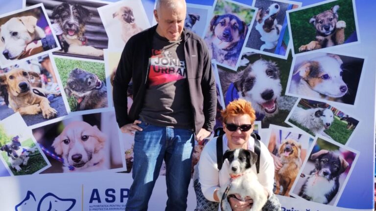 13 cățeluși de la ASPA și-au găsit familii iubitoare în acest weekend