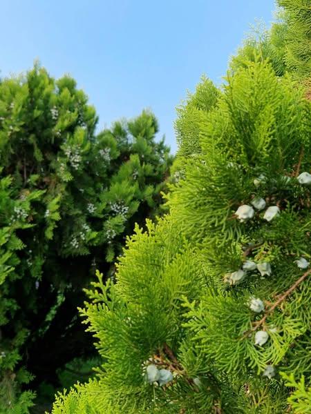 Activități culturale pentru copii în Sectorul 6